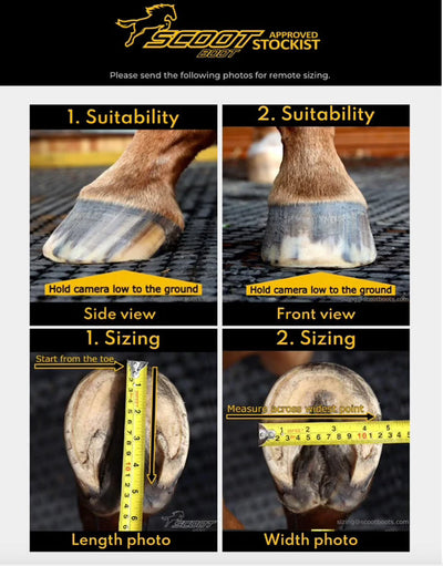 Tips to measure your horse for Scoot Boots