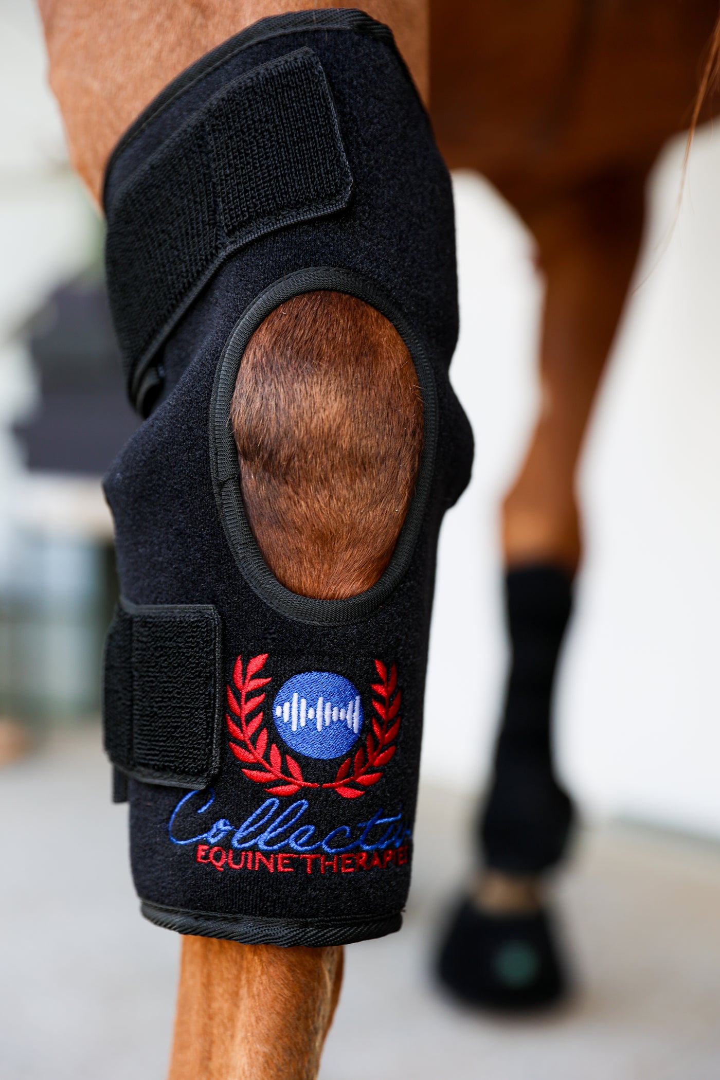 Red/Infrared/Pulse Hock Boots (Pair)
