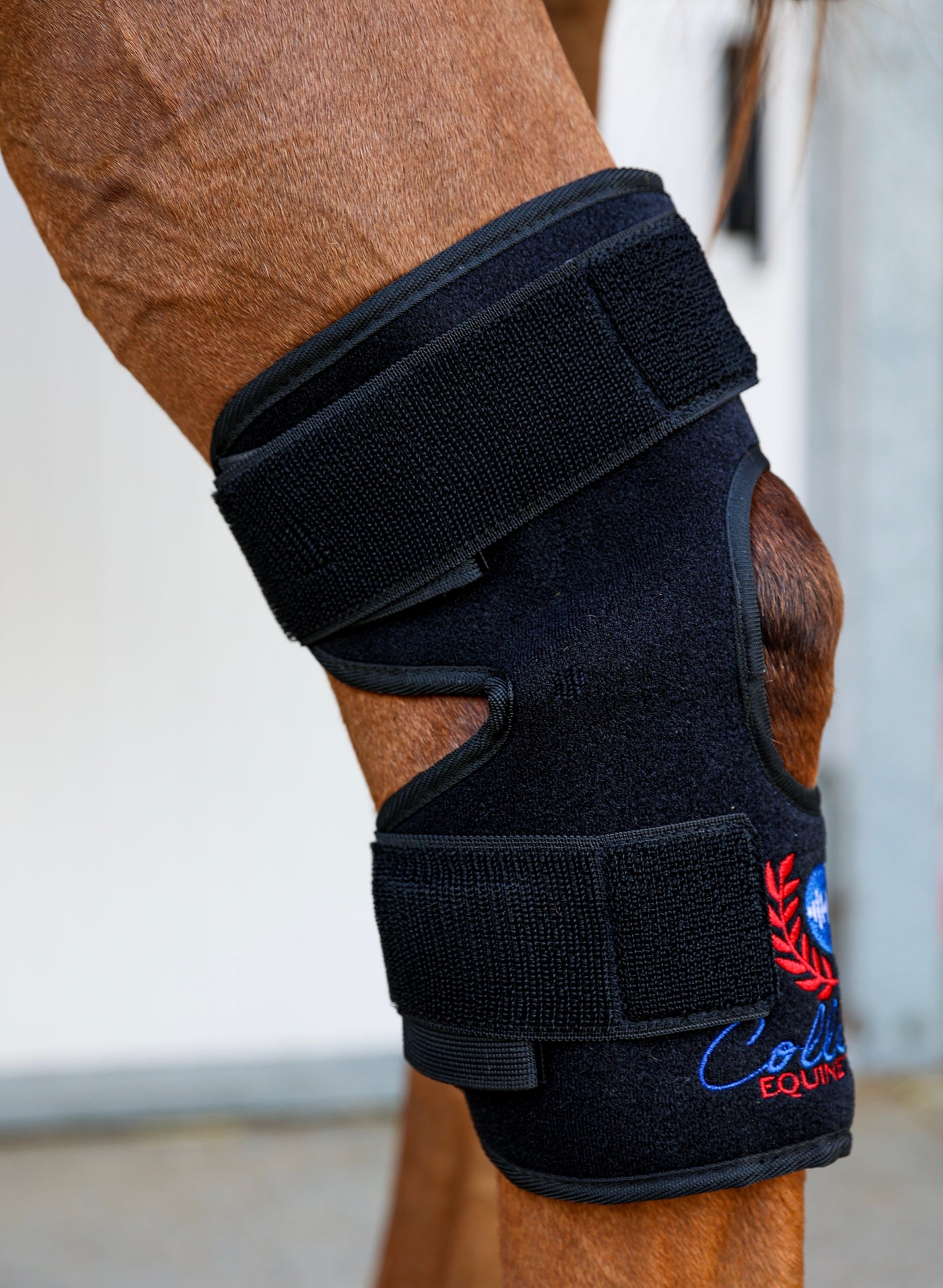 Red/Infrared/Pulse Hock Boots (Pair)