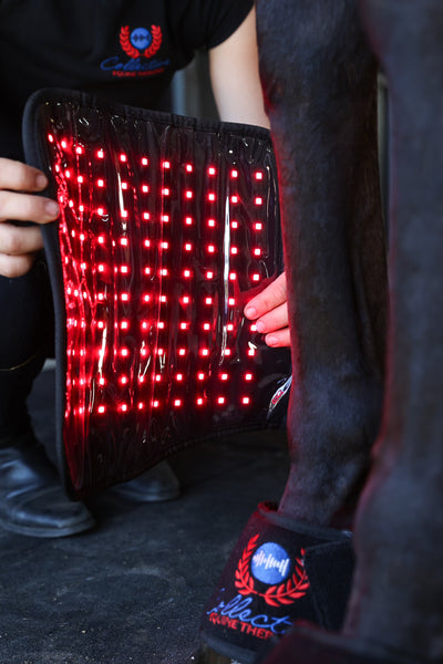 Red/Infrared Tendon Boots (Pair)