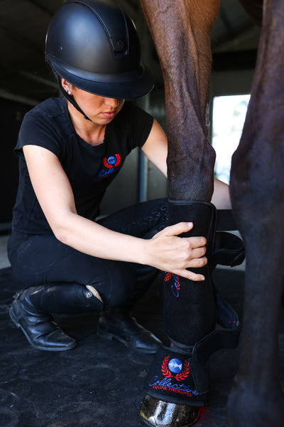 Red/Infrared Tendon Boots (Pair)