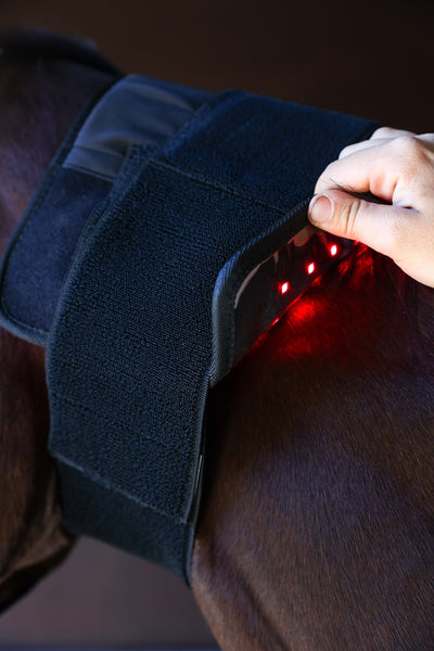 Led Light Therapy Pad Midi