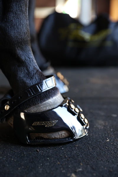 Scoot Boot - Pair