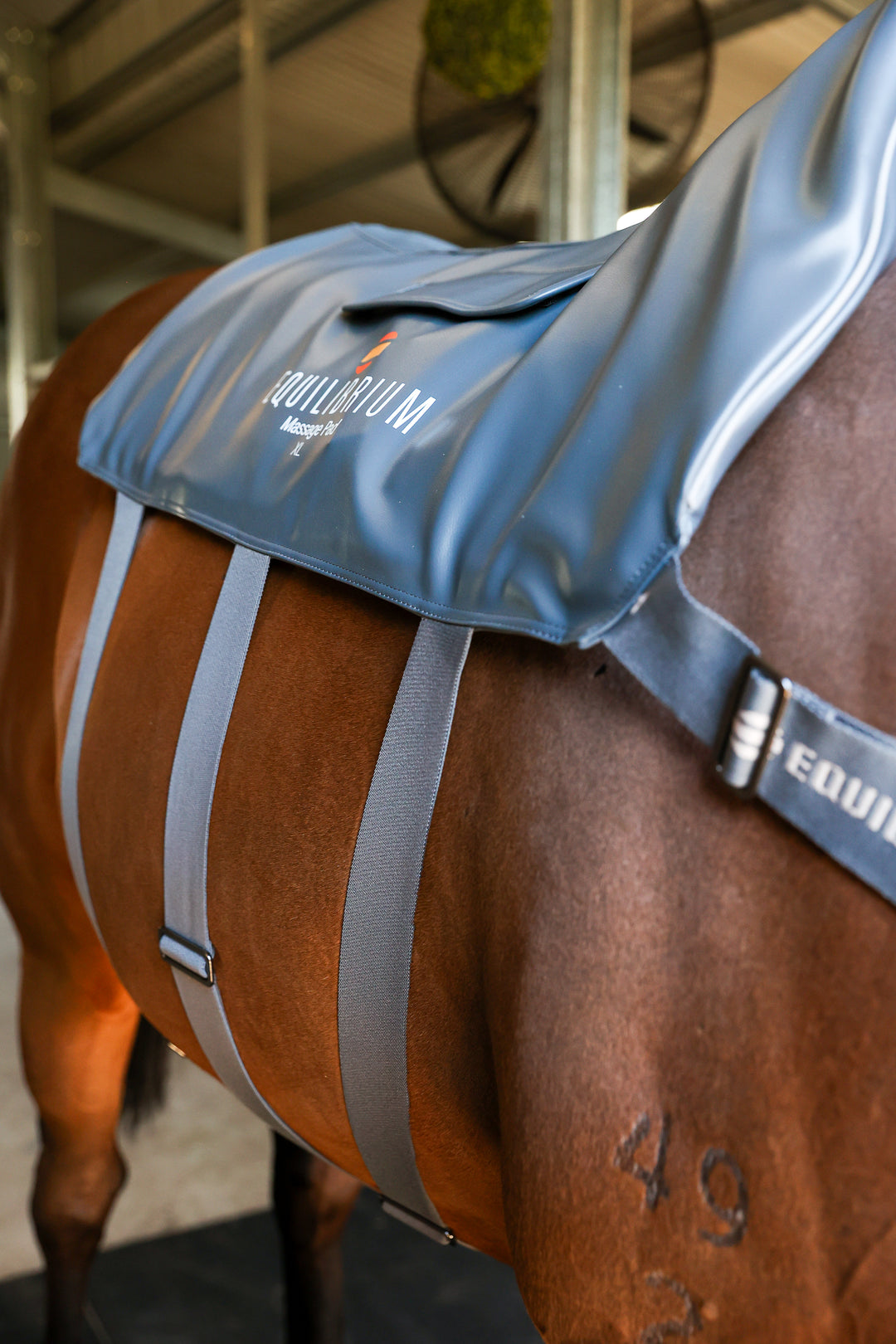 馬術 乗馬Equilibrium Therapy® Magnetic Chaps（Equilibrium Magnetic 