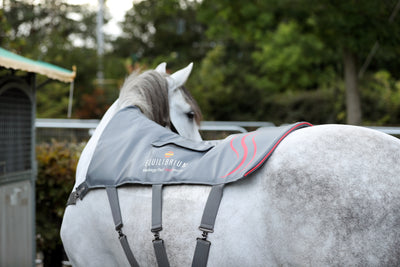 Equilibrium® Massage Pad Heat Sense