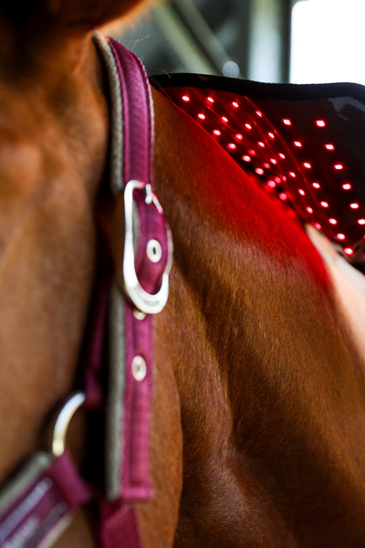 Led Light Therapy Pad Midi