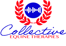 collectiveequinetherapies