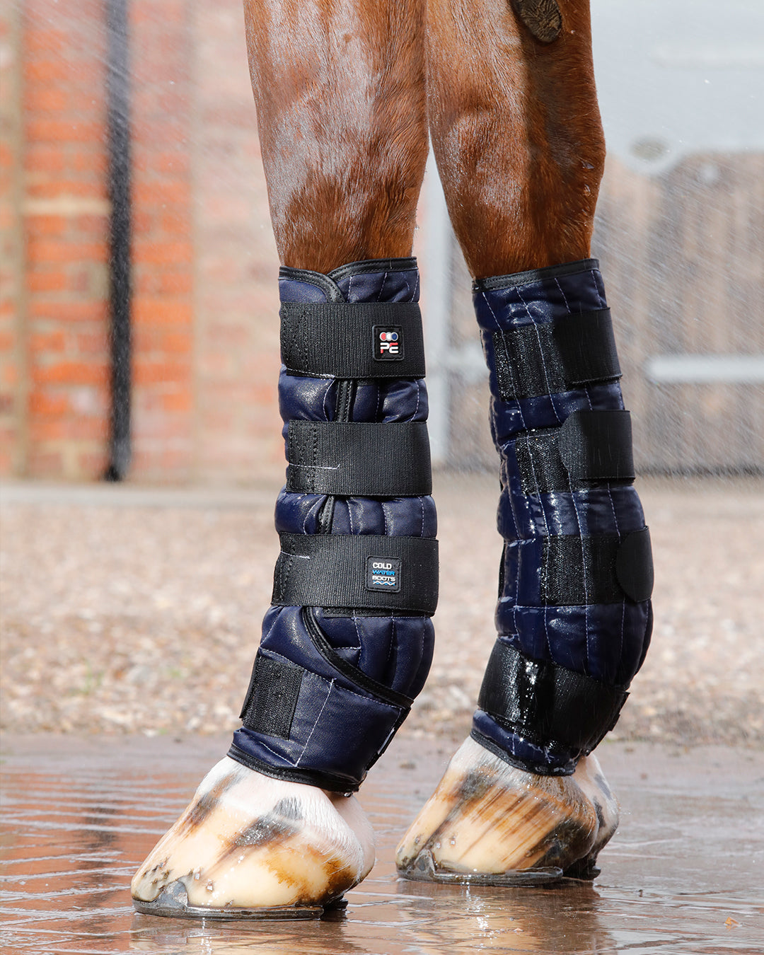 Cold Water Boots