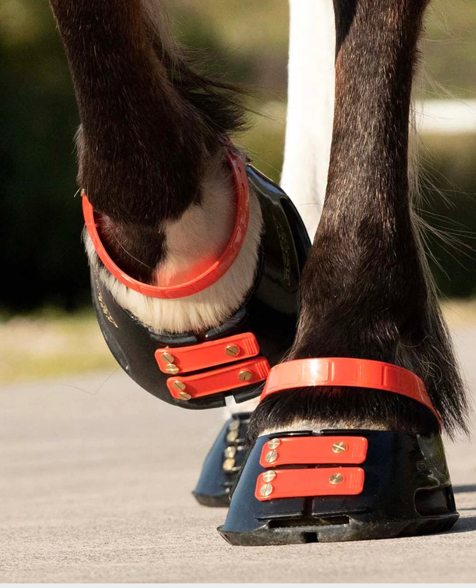 Pastern Straps