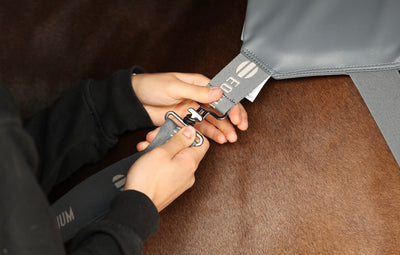 Equilibrium® Massage Pads