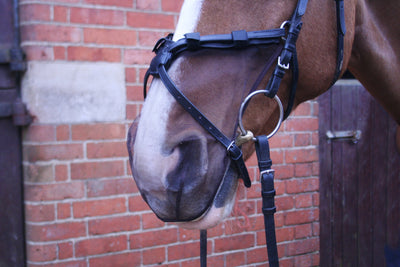 EQUILIBRIUM NET RELIEF MUZZLE NET