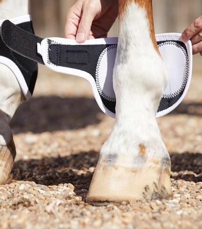 Magni - Teque Magnetic Fetlock Boots