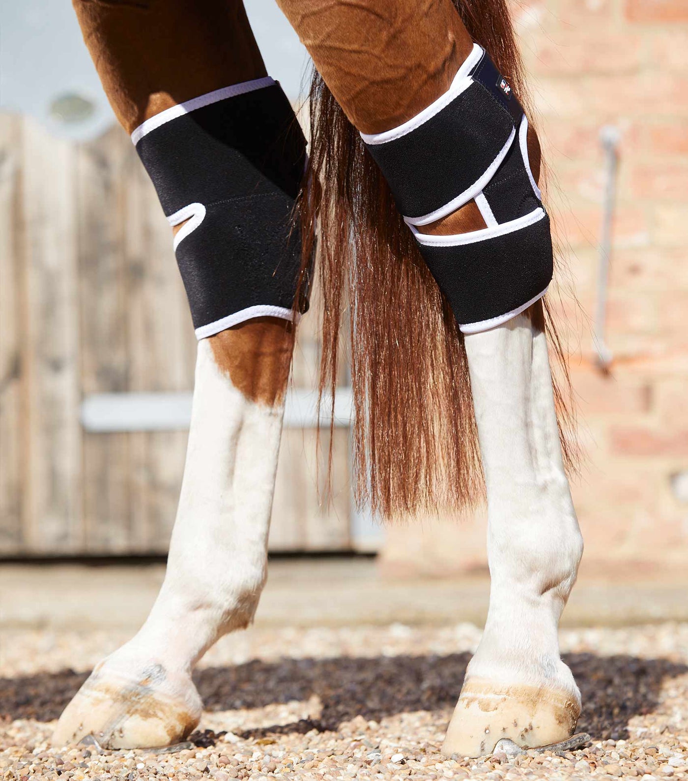 Magni - Teque Magnetic Hock Boots