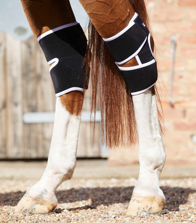 Magni - Teque Magnetic Hock Boots