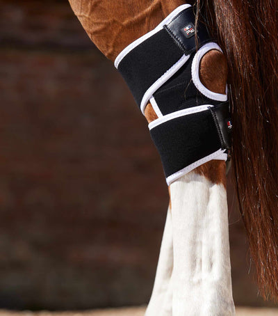 Magni - Teque Magnetic Hock Boots