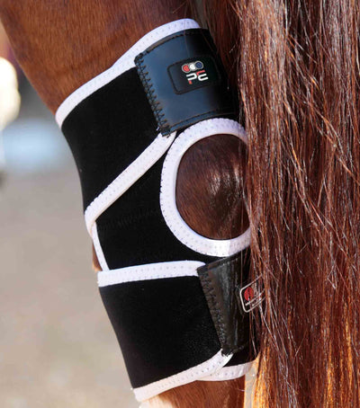 Magni - Teque Magnetic Hock Boots
