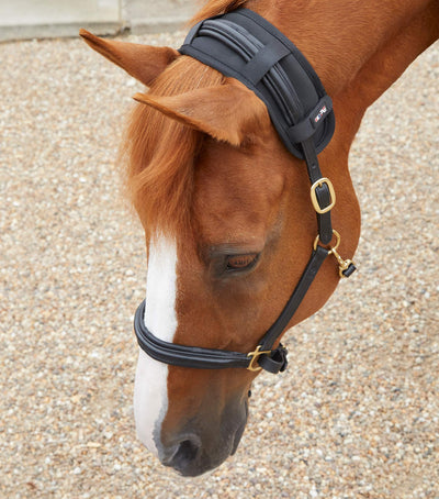 Magni - Teque Magnetic Poll Band