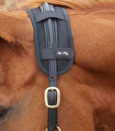 Magni - Teque Magnetic Poll Band