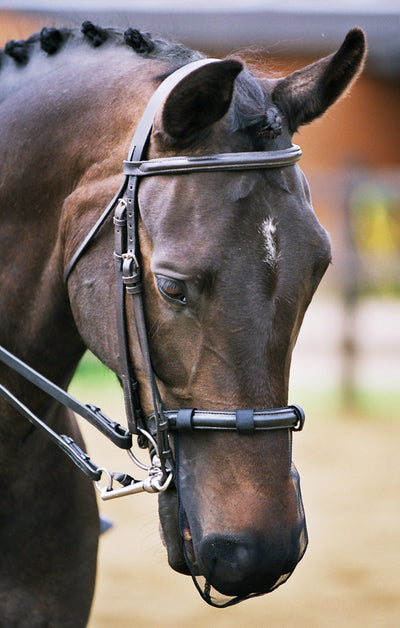EQUILIBRIUM NET RELIEF MUZZLE NET