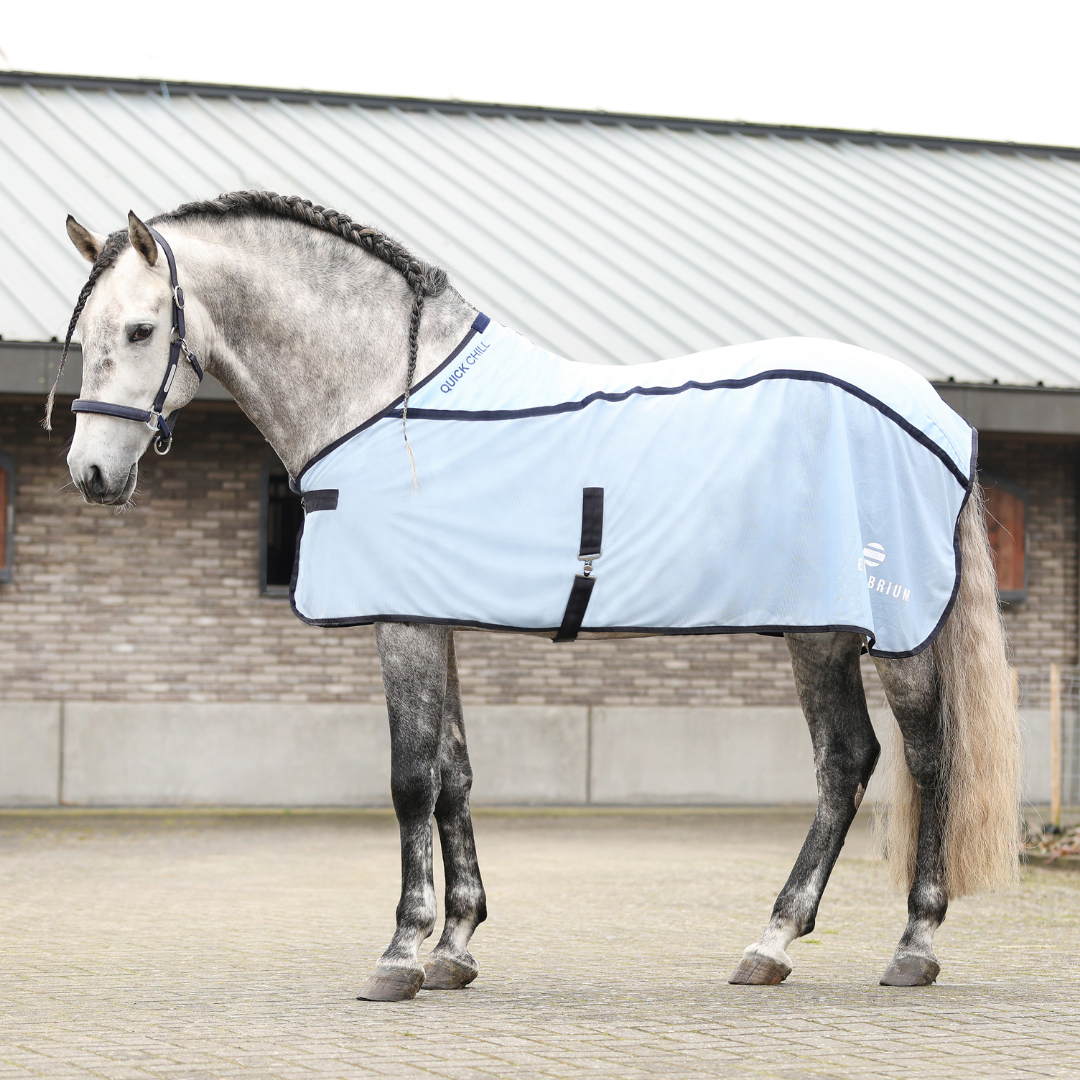 EQUILIBRIUM QUICK CHILL RUGS