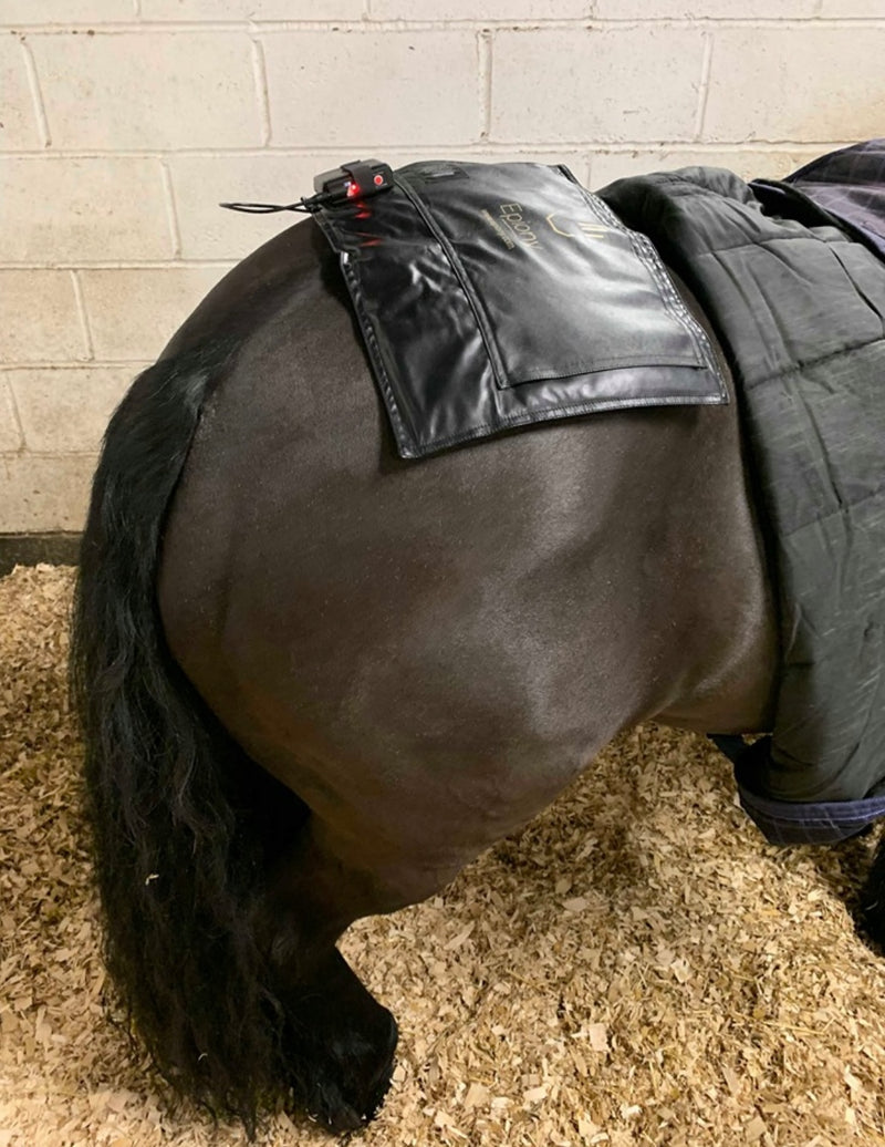 The Heat Pad
