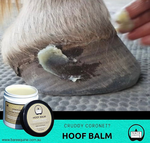 Hoof Co - Hoof Balm 250gms